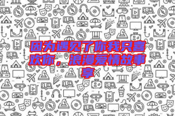 因?yàn)橛鲆娏四阄抑幌矚g你,浪漫愛情故事享