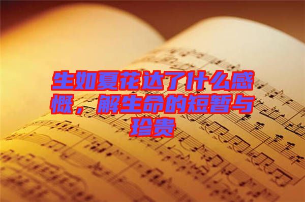 生如夏花達了什么感慨，解生命的短暫與珍貴