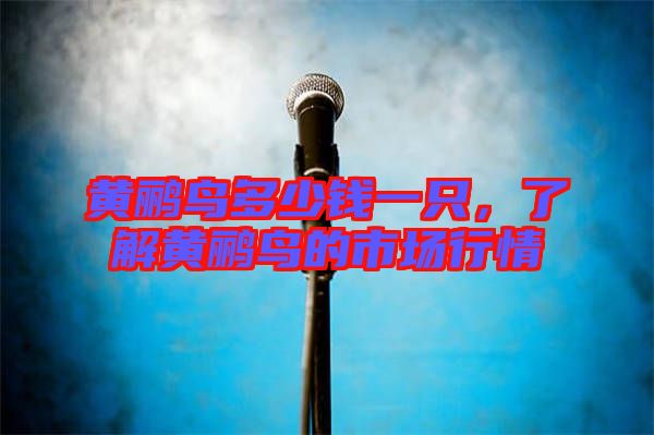 黃鸝鳥多少錢一只,了解黃鸝鳥的市場行情