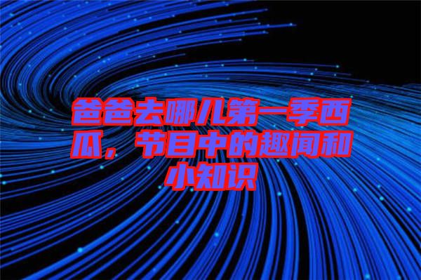 爸爸去哪兒第一季西瓜，節目中的趣聞和小知識
