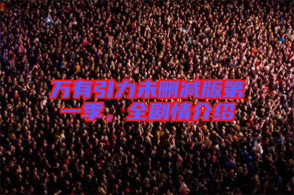 萬(wàn)有引力未刪減版第一季,全劇情介紹