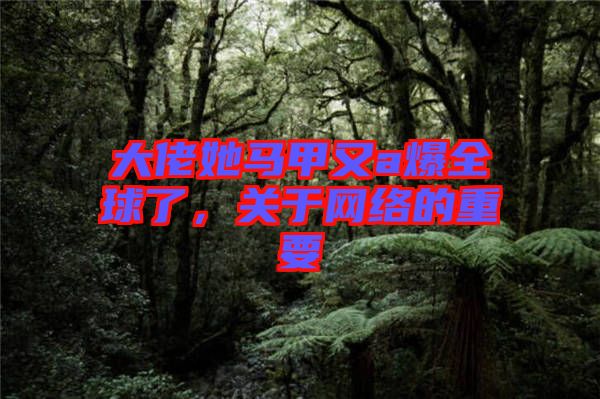 大佬她馬甲又a爆全球了，關于網絡的重要