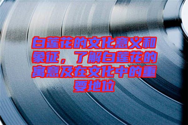 白蓮花的文化意義和象征,了解白蓮花的寓意及在文化中的重要地位