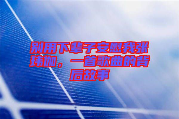 別用下輩子安慰我張瑋伽，一首歌曲的背后故事