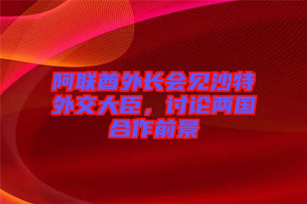 阿聯酋外長會見沙特外交大臣，討論兩國合作前景