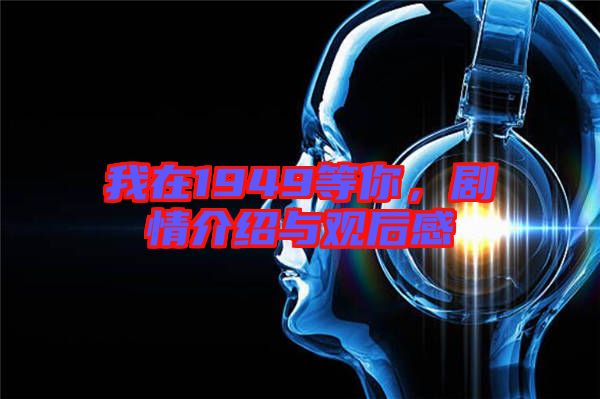我在1949等你，劇情介紹與觀后感