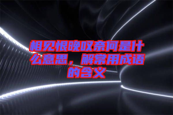 相見恨晚嘆奈何是什么意思,解常用成語的含義
