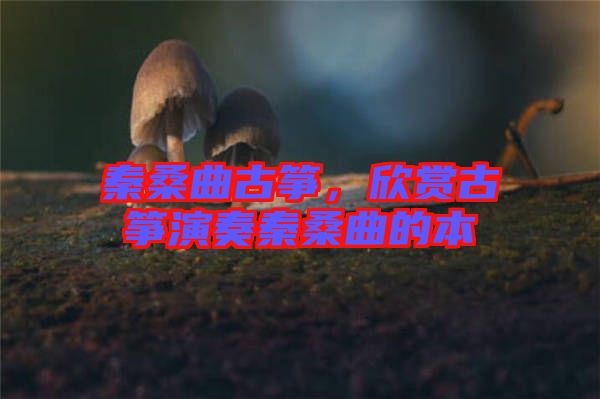 秦桑曲古箏,欣賞古箏演奏秦桑曲的本