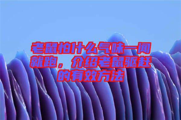 老鼠怕什么氣味一聞就跑，介紹老鼠驅趕的有效方法