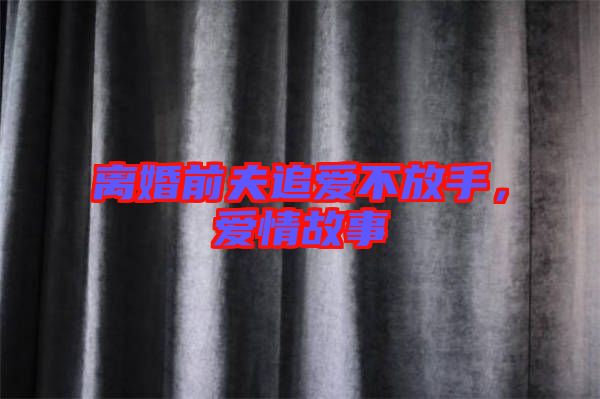 離婚前夫追愛不放手，愛情故事