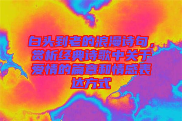 白頭到老的浪漫詩句,賞析經典詩歌中關于愛情的篇章和情感表達方式