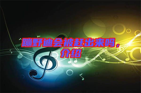 蹦野迪會被趕出來嗎,介紹