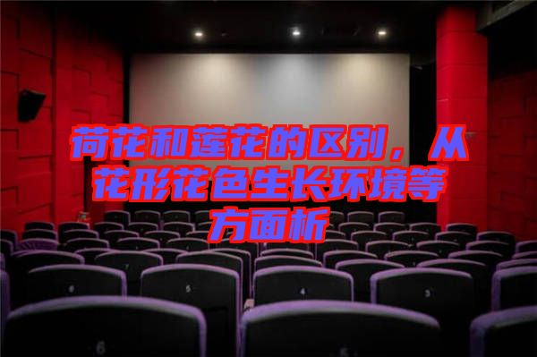 荷花和蓮花的區別，從花形花色生長環境等方面析