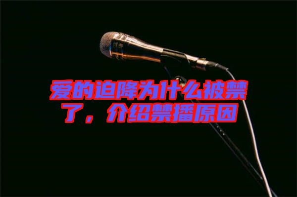 愛的迫降為什么被禁了,介紹禁播原因