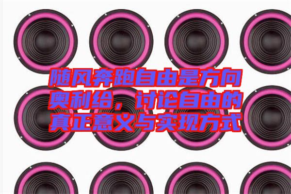 隨風(fēng)奔跑自由是方向奧利給,討論自由的真正意義與實(shí)現(xiàn)方式