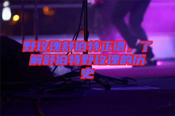 野玫瑰舒伯特正譜,了解舒伯特野玫瑰的歷史