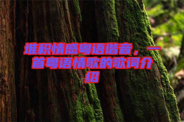 堆積情感粵語諧音,一首粵語情歌的歌詞介紹