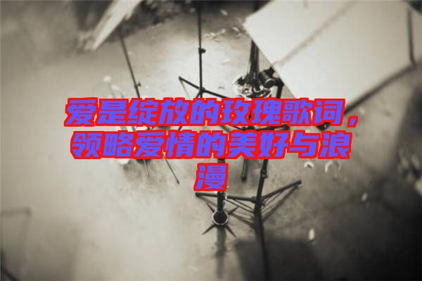 愛是綻放的玫瑰歌詞,領略愛情的美好與浪漫