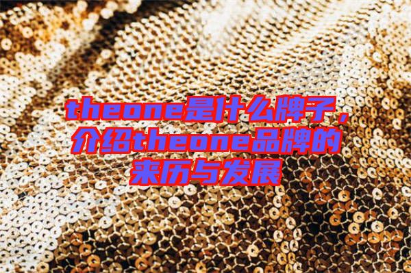 theone是什么牌子，介紹theone品牌的來歷與發展
