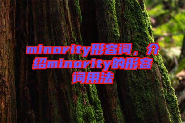 minority形容詞，介紹minority的形容詞用法
