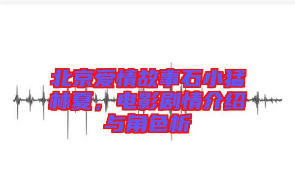 北京愛情故事石小猛林夏,電影劇情介紹與角色析