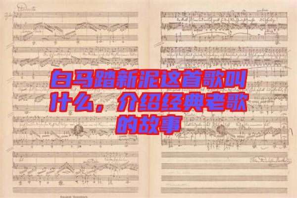白馬踏新泥這首歌叫什么,介紹經典老歌的故事