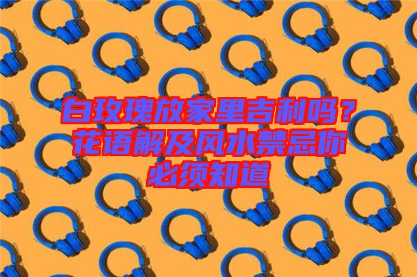 白玫瑰放家里吉利嗎?花語解及風(fēng)水禁忌你必須知道