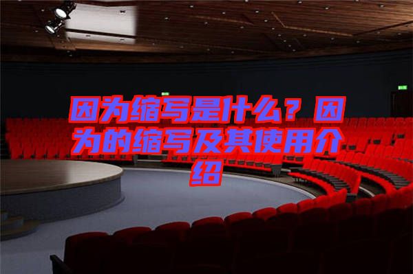 因?yàn)榭s寫是什么?因?yàn)榈目s寫及其使用介紹