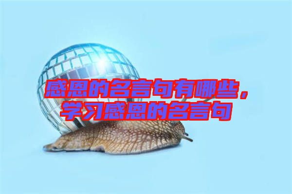 感恩的名言句有哪些,學習感恩的名言句