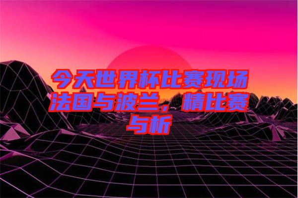 今天世界杯比賽現場法國與波蘭，精比賽與析