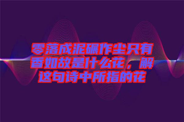 零落成泥碾作塵只有香如故是什么花，解這句詩中所指的花