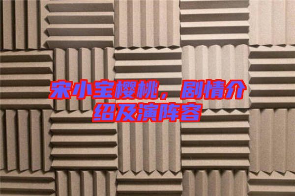 宋小寶櫻桃,劇情介紹及演陣容