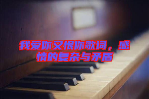 我愛你又恨你歌詞，感情的復(fù)雜與矛盾