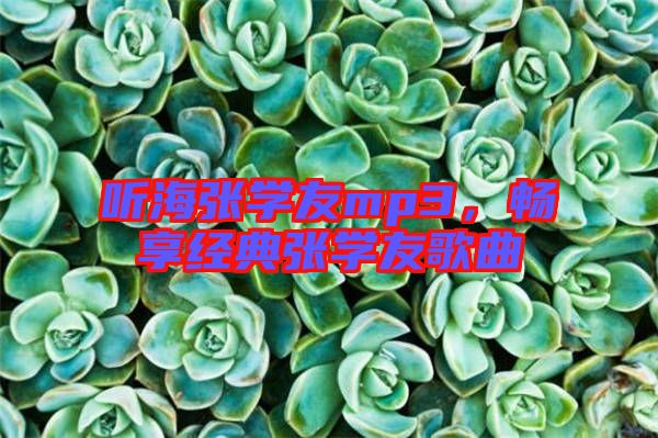 聽海張學友mp3，暢享經(jīng)典張學友歌曲