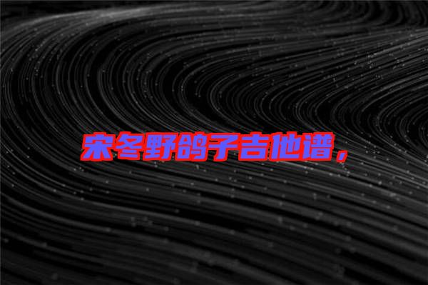 宋冬野鴿子吉他譜,