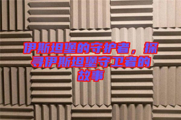 伊斯坦堡的守護者,探尋伊斯坦堡守衛者的故事