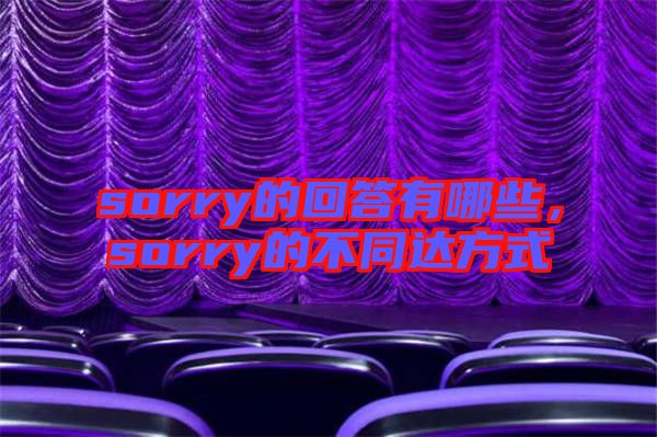sorry的回答有哪些,sorry的不同達方式