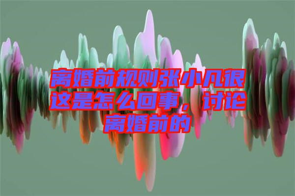 離婚前規則張小凡很這是怎么回事,討論離婚前的