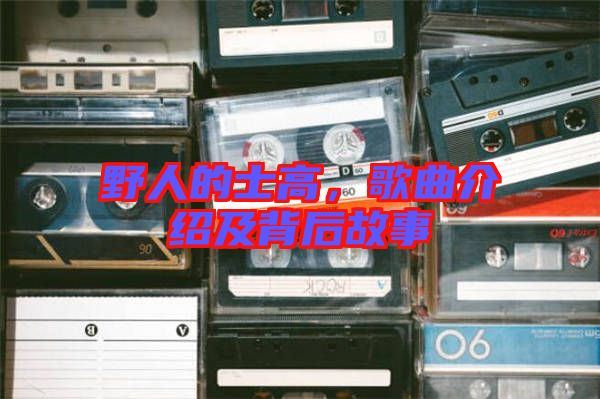 野人的士高,歌曲介紹及背后故事