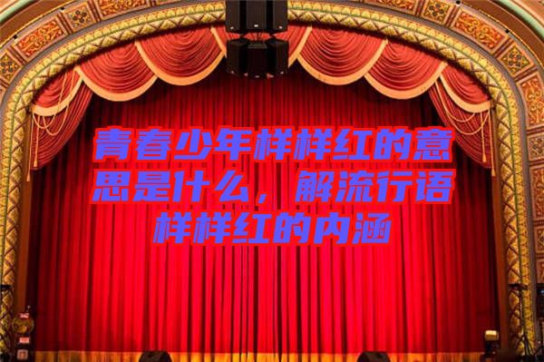 青春少年樣樣紅的意思是什么,解流行語樣樣紅的內涵