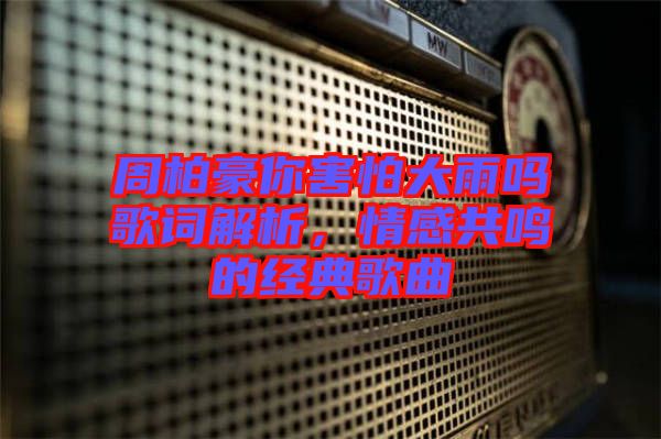 周柏豪你害怕大雨嗎歌詞解析，情感共鳴的經典歌曲