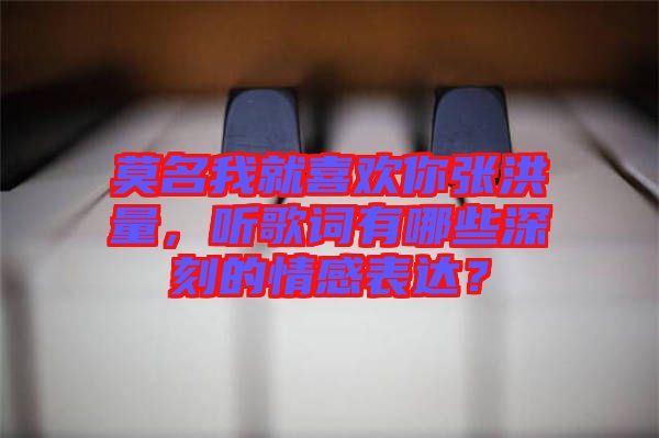 莫名我就喜歡你張洪量,聽歌詞有哪些深刻的情感表達?