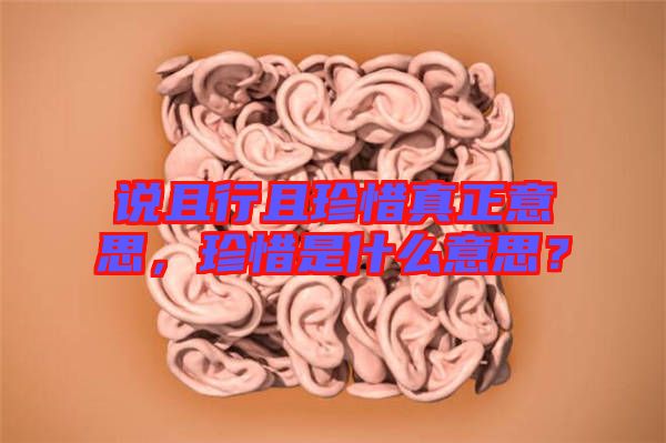 說且行且珍惜真正意思,珍惜是什么意思?