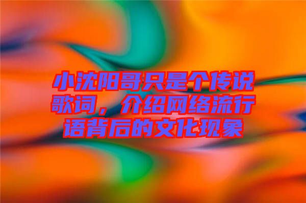 小沈陽哥只是個傳說歌詞,介紹網絡流行語背后的文化現象