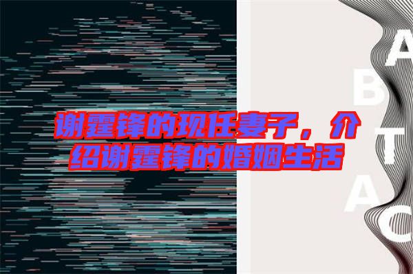 謝霆鋒的現(xiàn)任妻子,介紹謝霆鋒的婚姻生活