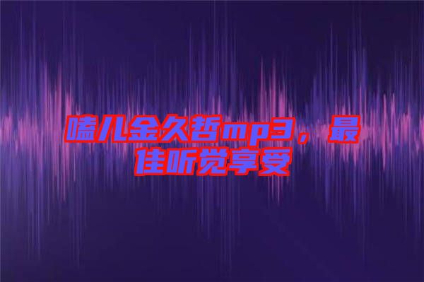 嗑兒金久哲mp3,最佳聽覺享受