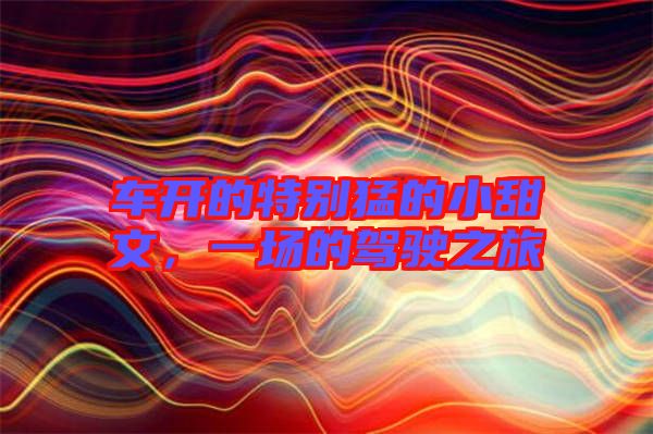車開的特別猛的小甜文,一場的駕駛之旅