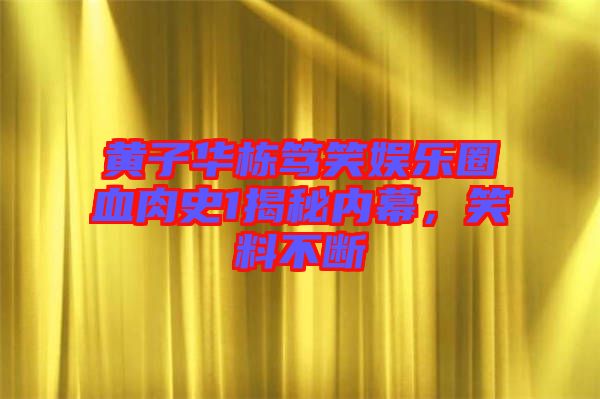 黃子華棟篤笑娛樂圈血肉史1揭秘內幕，笑料不斷