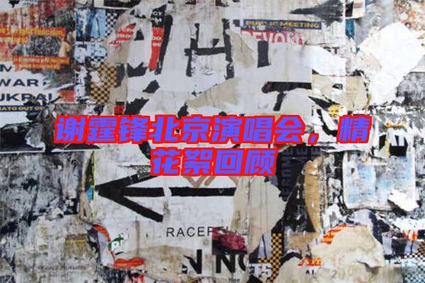 謝霆鋒北京演唱會,精花絮回顧