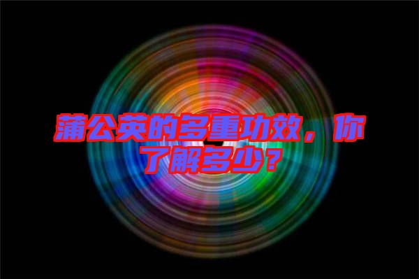 蒲公英的多重功效，你了解多少？